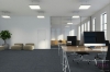 Picture of Pentz - Influencer Tile Social Media