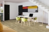 Picture of Engineered Floors - PureGrain Endure Lifestyle Key Largo