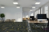 Picture of Pentz - Magnify Tile Cyber