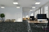 Picture of Pentz - Magnify Tile Skyrocket