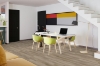 Picture of Engineered Floors - PureGrain Endure New Standard Plus Druidstone
