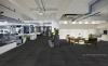 Picture of Pentz - Reverb Tile Parrot