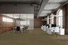 Picture of Pentz - Revival Renewel