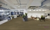 Picture of Pentz - Revival Renewel