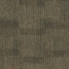 Picture of Pentz - Revolution Revolt