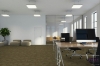 Picture of Pentz - Revolution Transformation