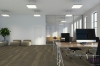 Picture of Pentz - Universe Tile Aurora