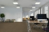Picture of Pentz - Uplink Tile Praline