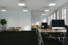 Picture of Pentz - Uplink Tile Licorice
