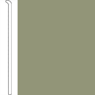 Picture of Johnsonite - Baseworks ThermoSet 4 Toeless Wall Base Gecko