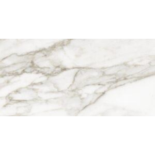 Picture of Tesoro - La Marca 24 x 48 Matte Calacatta Paonazzo