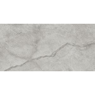 Picture of Tesoro - La Marca 24 x 48 Matte Paradiso Argento