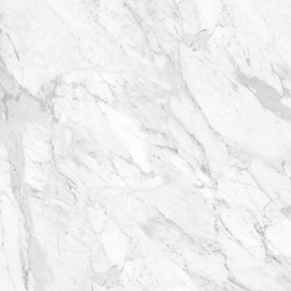 Picture of Tesoro - La Marca 24 x 24 Matte Statuarietto
