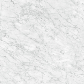 Picture of Tesoro - La Marca 24 x 24 Matte Carrara Gioia
