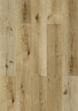 Picture of Signature Collection - SelectStyle Pro20 Sandy Beach