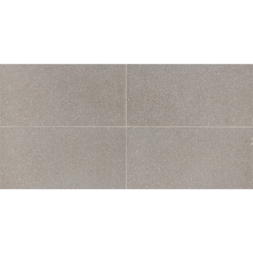 Picture of American Olean - Neospeck 12 x 24 Light Gray MT