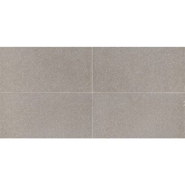 Picture of American Olean - Neospeck 12 x 24 Light Gray MT