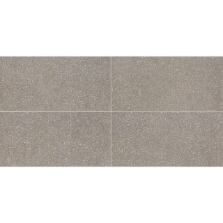 Picture of American Olean - Neospeck 12 x 24 Polished Medium Gray LP
