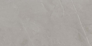 Picture of Ecoceramic - Slabs 24 x 48 Polished Gris