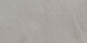 Picture of Ecoceramic - Slabs 24 x 48 Polished Gris