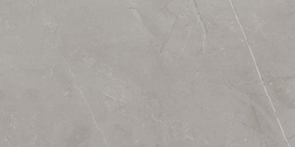 Picture of Ecoceramic - Slabs 24 x 48 Polished Gris