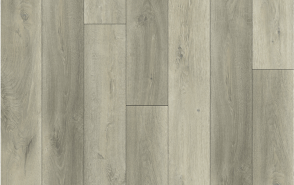 Picture of Lions Floor - Bambino Rivoli