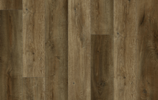 Picture of Lions Floor - Bambino Ganache