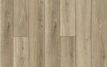 Picture of Lions Floor - Bambino Dolce