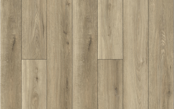 Picture of Lions Floor - Bambino Dolce