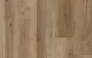 Picture of Lions Floor - Comfort Heights Maple Gardens