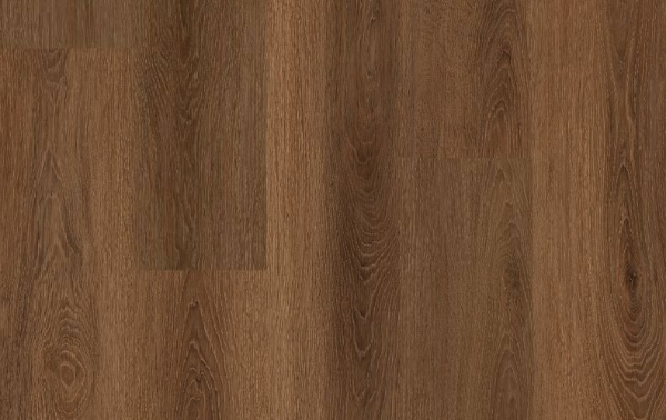 Picture of Lions Floor - Comfort Heights Lake Point