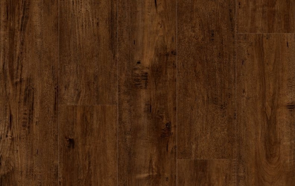 Picture of Lions Floor - Comfort Heights City Pointe