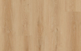 Picture of Lions Floor - Comfort Heights Village Park