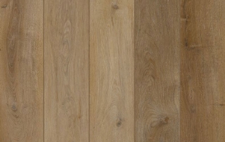 Picture of Lions Floor - Lone Star Spirit Toffeenut Umber