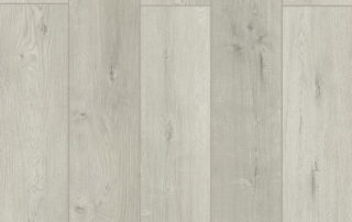 Picture of Lions Floor - Lone Star Spirit Almont Haze