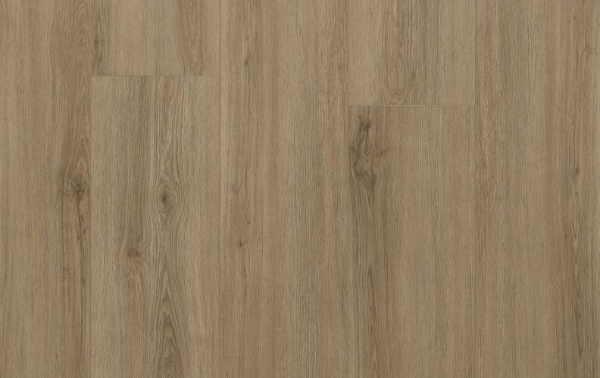 Picture of Lions Floor - Trenta Candela Amber