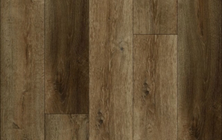 Picture of Lions Floor - District Pro Chandler