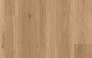 Picture of Lions Floor - District Pro Westgate