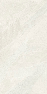 Picture of Elysium - Tune 24 x 48 Snow