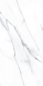 Picture of Elysium - AGL 12 x 24 Matte Carrara