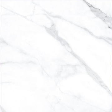 Picture of Elysium - AGL 24 x 24 Polished Statuario