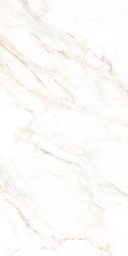 Picture of Elysium - AGL 24 x 48 Polished Lusso Staturio