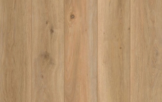 Picture of Lions Floor - Indoor Delight Shoreline Decor