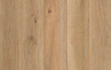 Picture of Lions Floor - Indoor Delight Shoreline Decor