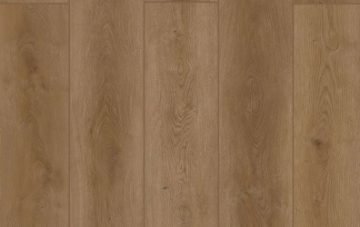 Picture of Lions Floor - Indoor Delight Fortress Dawn