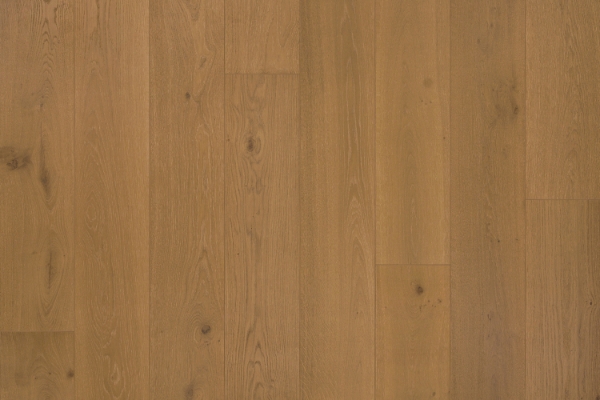 Picture of Garrison Collection - Beverly Hills Canon