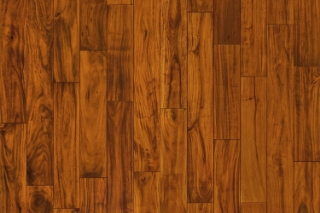 Picture of Garrison Collection - Exotics Acacia Gold