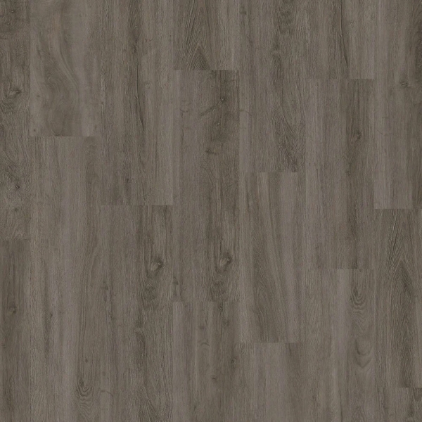 Picture of EarthWerks - Chassis Motorcoach