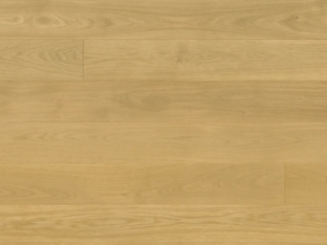 Picture of Monarch Plank - Regent Margaret