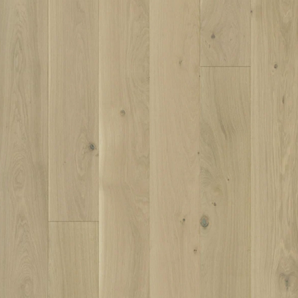 Picture of Monarch Plank - Dover Bradfield